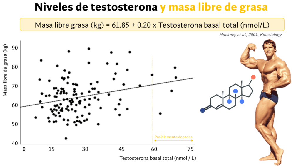 como influye la testosterona en el rendimiento deportivo