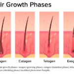 como influyen las hormonas en el crecimiento del cabello