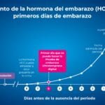 como influyen las hormonas en el resultado del embarazo