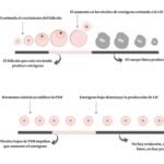 como influyen los anticonceptivos en la progesterona