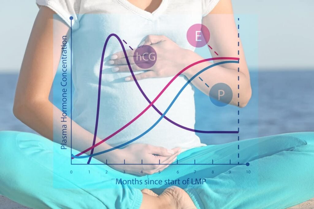 como influyen los estrogenos en la salud cardiovascular