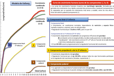 como se determina el potencial de crecimiento en un nino