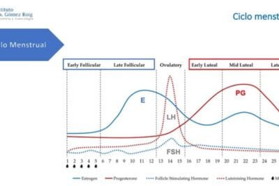 como se regula el ciclo menstrual por las glandulas