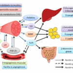 como se relaciona el cortisol con la fatiga adrenal