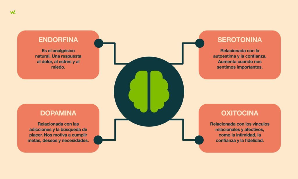 como se relacionan las hormonas y el estado de animo