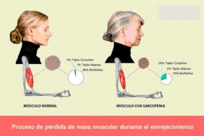 como se relacionan los androgenos con el envejecimiento