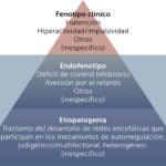 complicaciones a largo plazo de la hipoactividad fisica