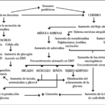 Complicaciones de la hipoglucemia no tratada: riesgos y efectos