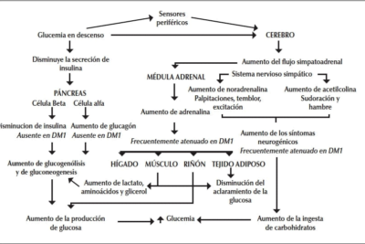complicaciones de la hipoglucemia no tratada riesgos y efectos