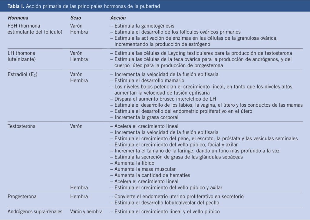 comprendiendo la pubertad definicion y funciones hormonales