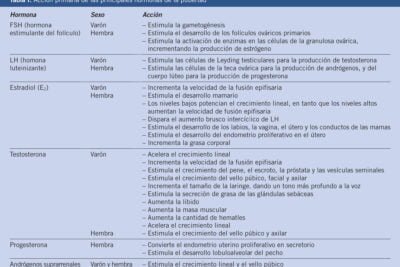 comprendiendo la pubertad definicion y funciones hormonales