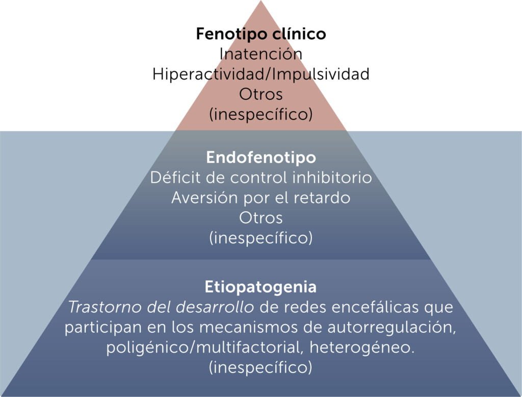 comunicacion del diagnostico de hipoactividad a los afectados