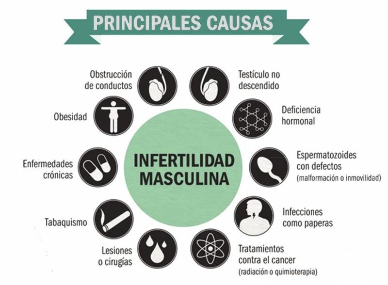 condiciones comunes que afectan la fertilidad masculina