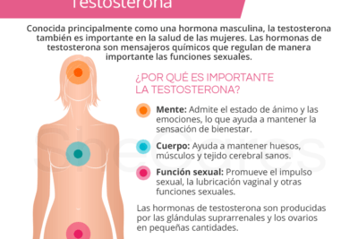 consejos de estilo de vida para equilibrar la testosterona
