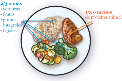 consejos nutricionales para regular los androgenos efectivamente