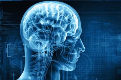 control efectivo de los niveles de cortisol en el cuerpo humano