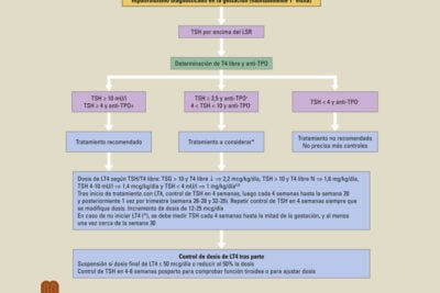 controles de salud tras tratamiento tiroideo pautas y recomendaciones