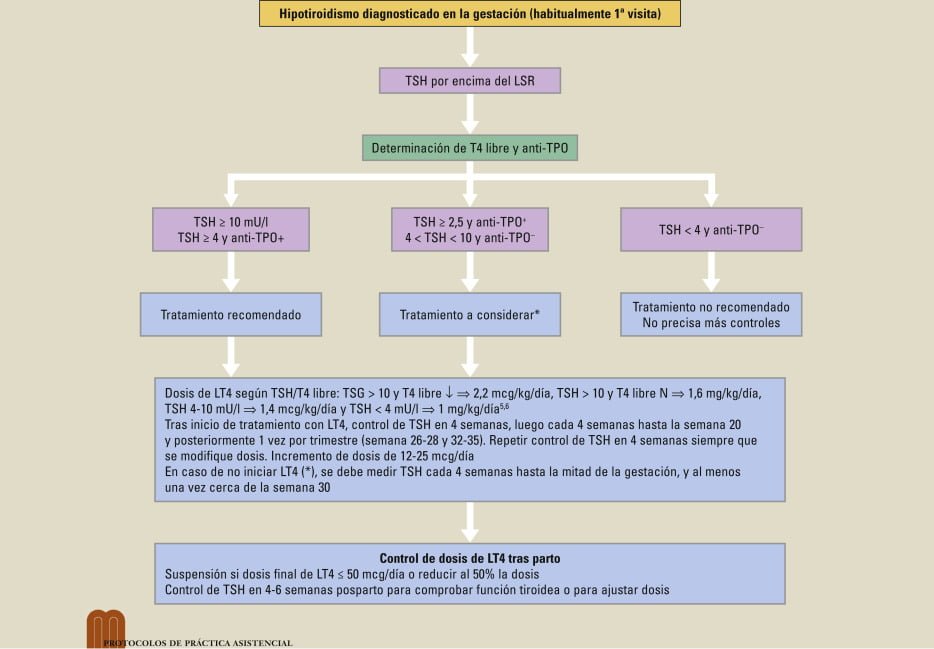 Controles de salud tras tratamiento tiroideo: pautas y recomendaciones 1 controles de salud tras tratamiento tiroideo pautas y recomendaciones
