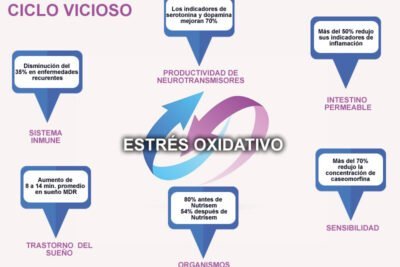 cortisol y su relacion con el tdah una revision esencial