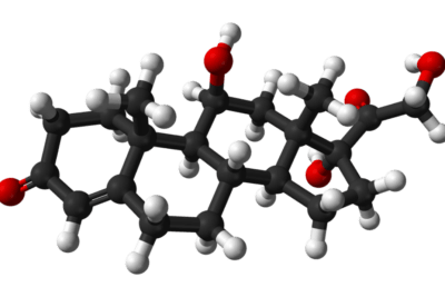 cortisol y su vinculo con el trastorno limite de la personalidad