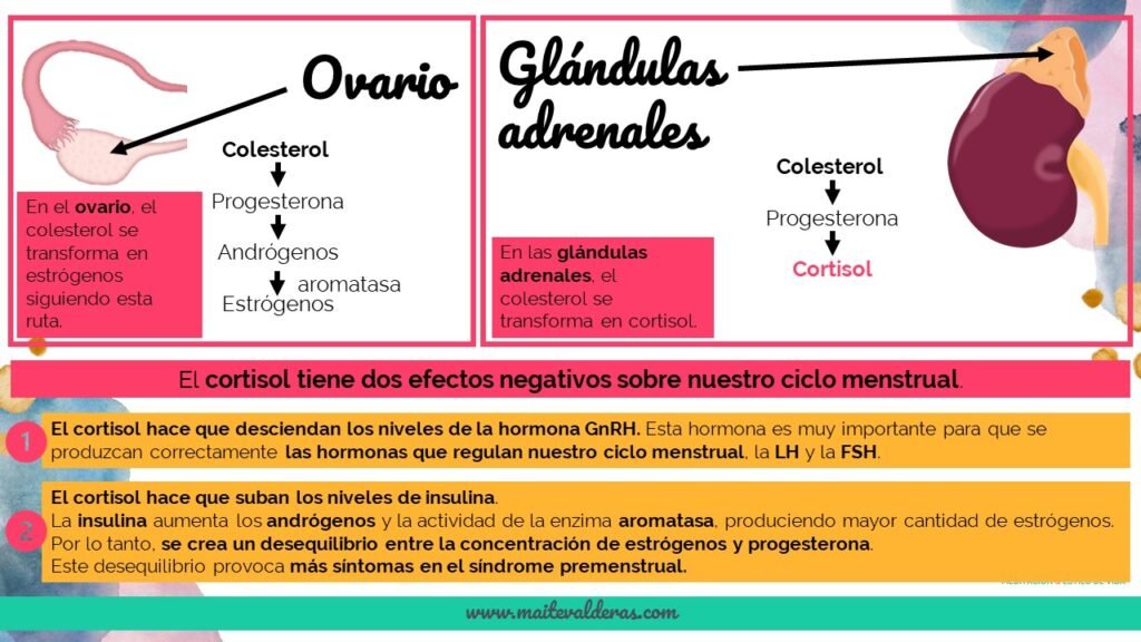 cortisol y sus efectos en el sindrome premenstrual