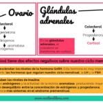 Cortisol y sus efectos en el síndrome premenstrual