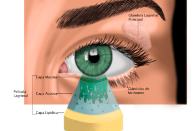 cual es el impacto de los androgenos en la salud ocular