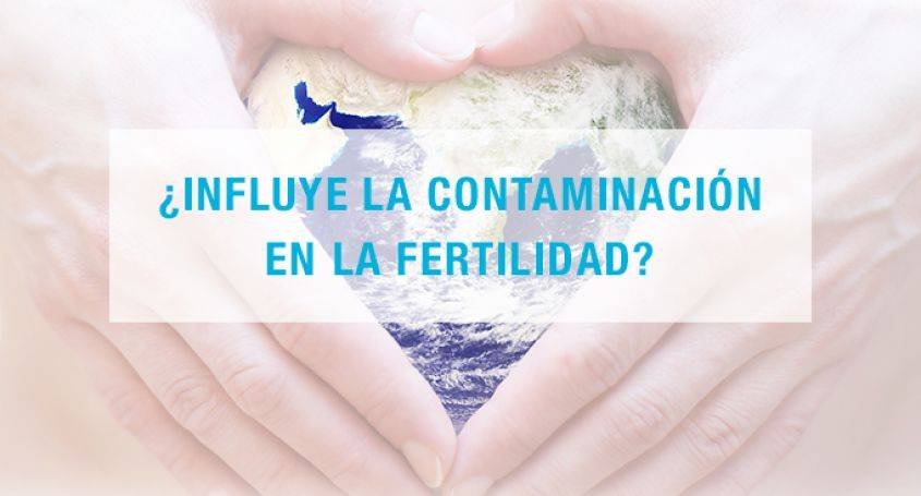 cual es el impacto del medio ambiente en la fertilidad