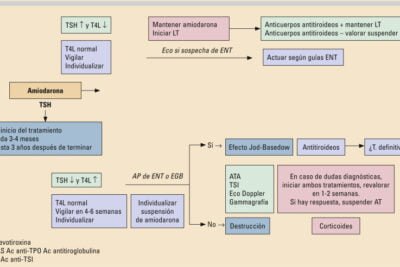 Cuál es la bibliografía recomendada sobre tirotóxicosis 1 cual es la bibliografia recomendada sobre tirotoxicosis