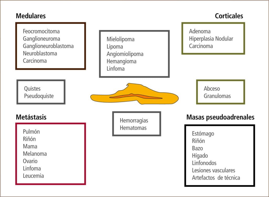 cual es la diferencia entre hipoactividad y astenia