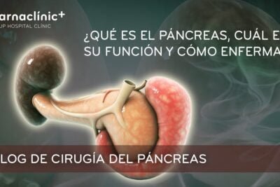 cual es la funcion del pancreas en el metabolismo