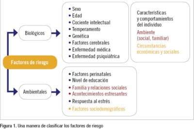 Cuál es la relación entre andrógenos y salud mental 1 cual es la relacion entre androgenos y salud mental