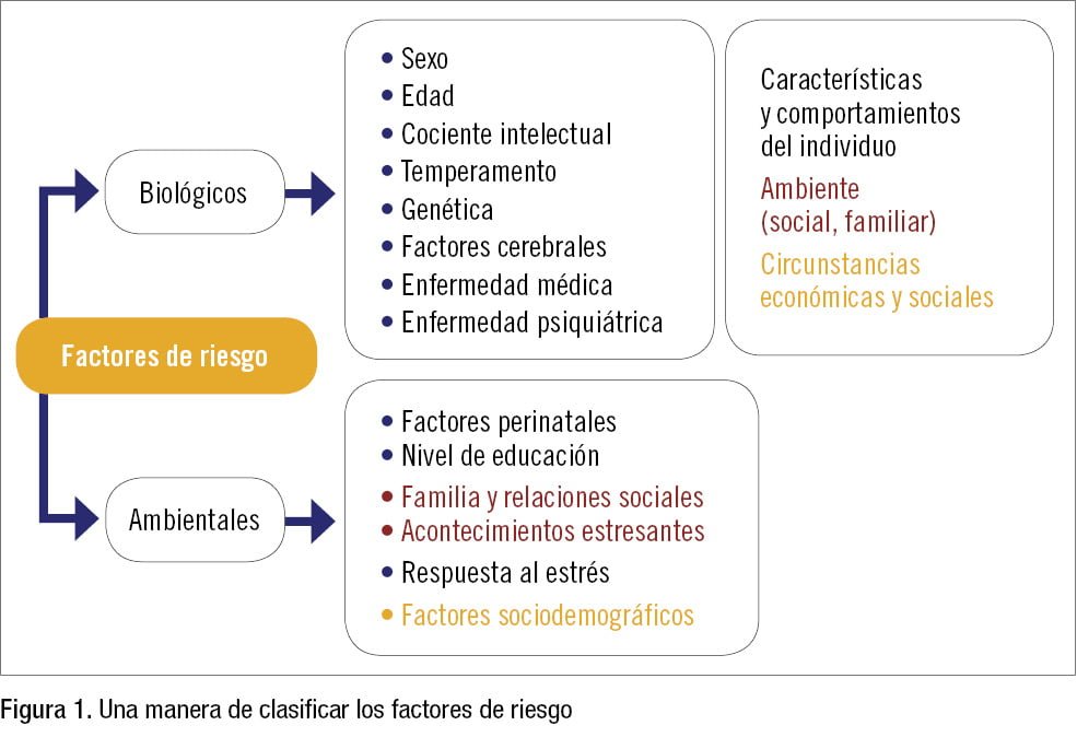 cual es la relacion entre androgenos y salud mental