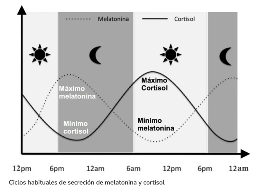 Cuál es la relación entre el cortisol y el sueño 1 cual es la relacion entre el cortisol y el sueno