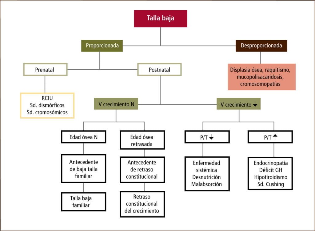 cuales son las pautas para el manejo de la talla baja