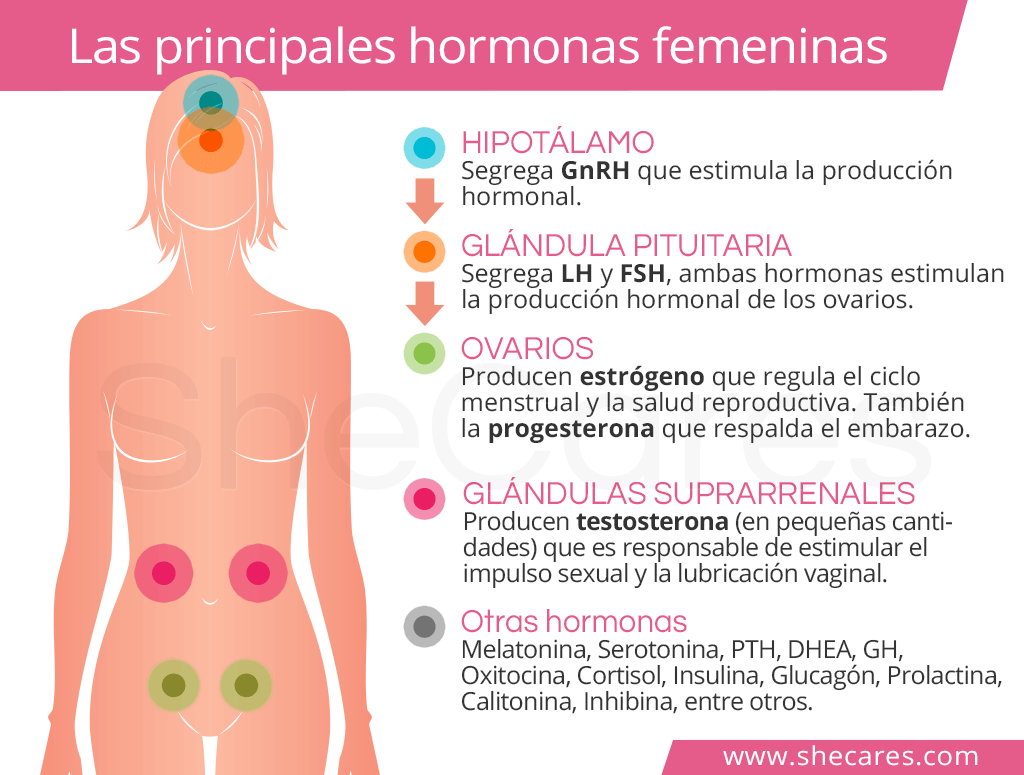 cuales son los beneficios de una buena salud endocrina