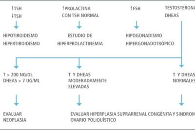 cuales son los signos de una disfuncion endocrina