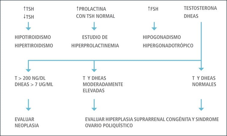 cuales son los signos de una disfuncion endocrina