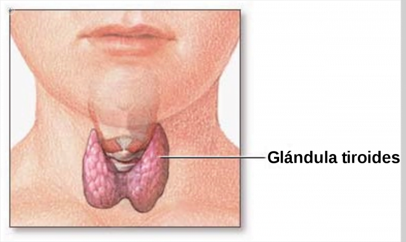 cuales son los sintomas de problemas en las glandulas