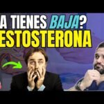 de que manera la testosterona afecta la fatiga cronica