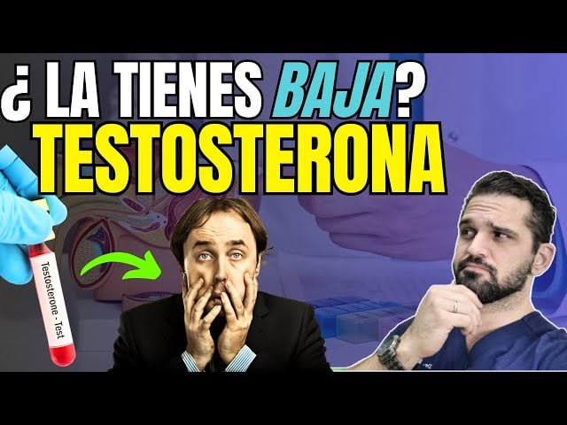 De qué manera la testosterona afecta la fatiga crónica 1 de que manera la testosterona afecta la fatiga cronica