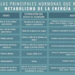 Déficit de hormonas peptídicas: impacto en salud y bienestar