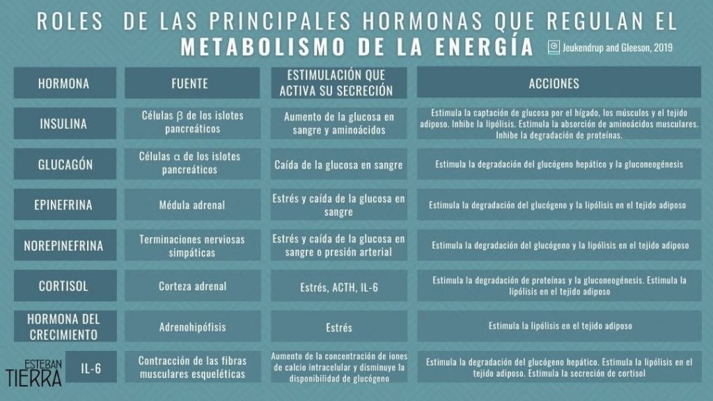 Déficit de hormonas peptídicas: impacto en salud y bienestar 1 deficit de hormonas peptidicas impacto en salud y bienestar