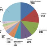 Desbalances androgénicos y su impacto en la salud masculina