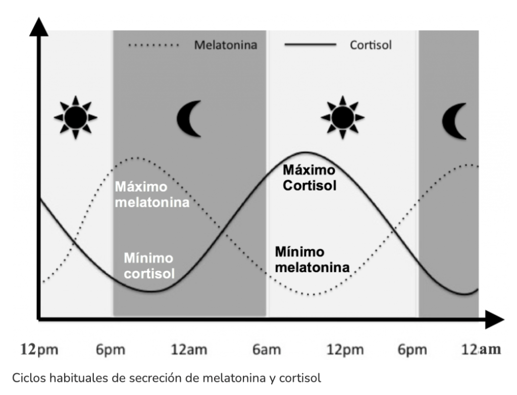 desequilibrio del cortisol que es y como se manifiesta