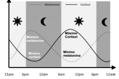 desequilibrio del cortisol que es y como se manifiesta