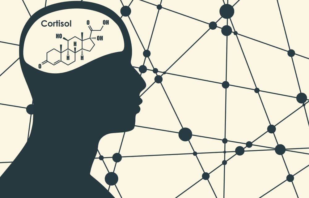 Desequilibrios hormonales y su impacto en la cognición humana 1 desequilibrios hormonales y su impacto en la cognicion humana