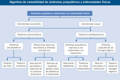 diagnostico de la hipoactividad en ninos e individuos metodos y pasos