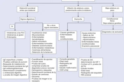 diagnostico de problemas de crecimiento en ninos estudios clave