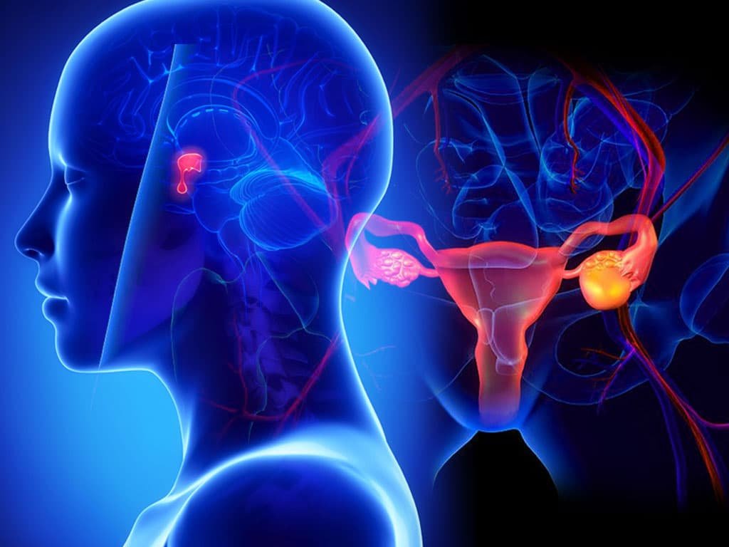 Diagnóstico de trastornos relacionados con hormonas peptídicas 1 diagnostico de trastornos relacionados con hormonas peptidicas